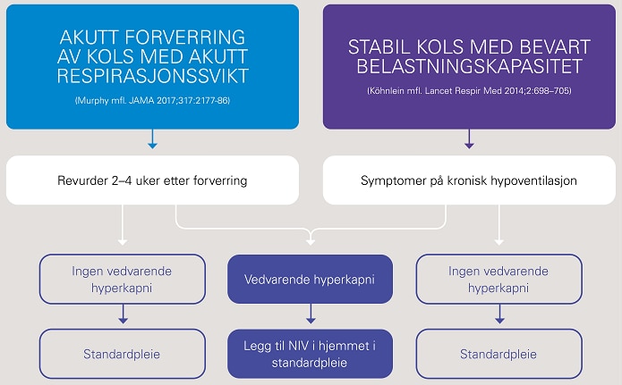 Hjem NIV i KOLS-når-faktaark Norge