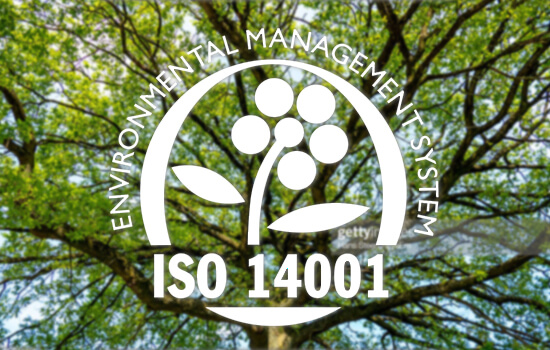 Tre i bakgrunnen med bilde for ISO 14001 – Miljøstyringssystem